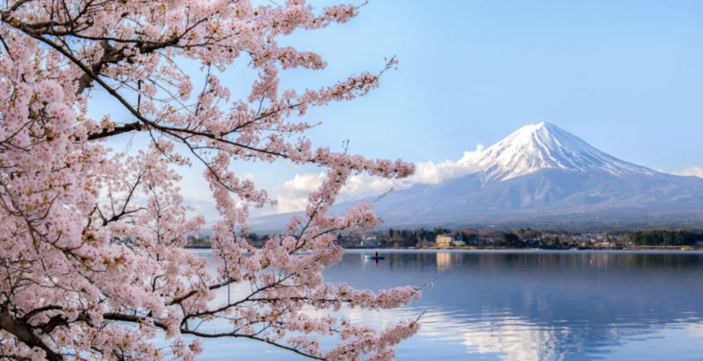 揭秘! 在日本房地產獲取暴利的秘技! 61